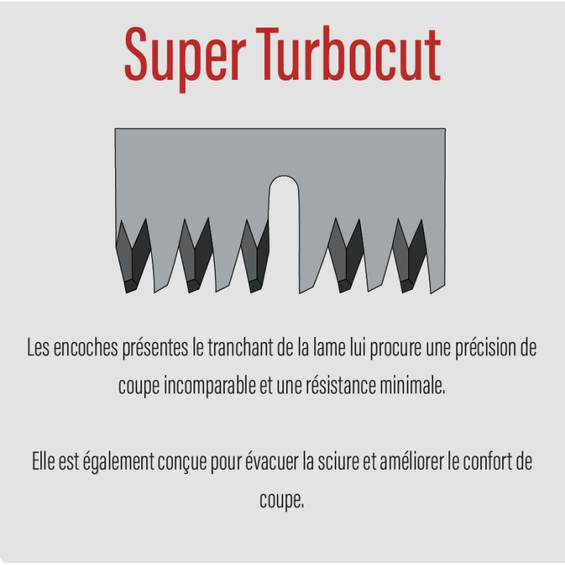 Scie ARS 67 cm sur perche EXP