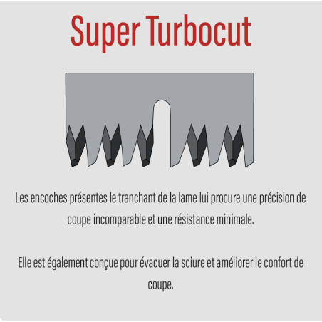 Scie ARS 67 cm sur perche EXP