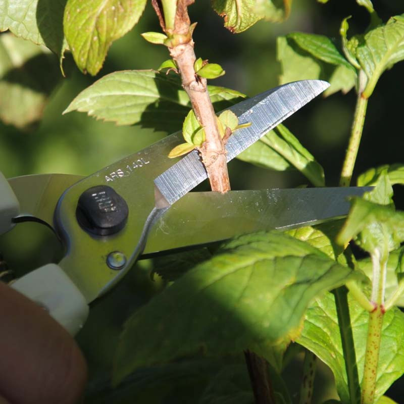 Sécateur coupe-tout ARS 20 cm