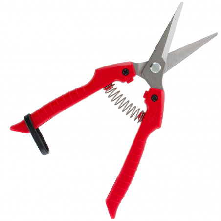 Sécateur à fruit ARS 18 cm 2