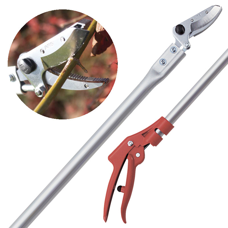 Sécateur floral long manche ARS160 (plusieurs...