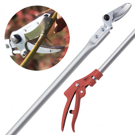 Sécateur floral long manche ARS160 (plusieurs tailles) 2