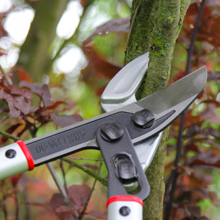 Ebrancheur ARS 81 cm 2