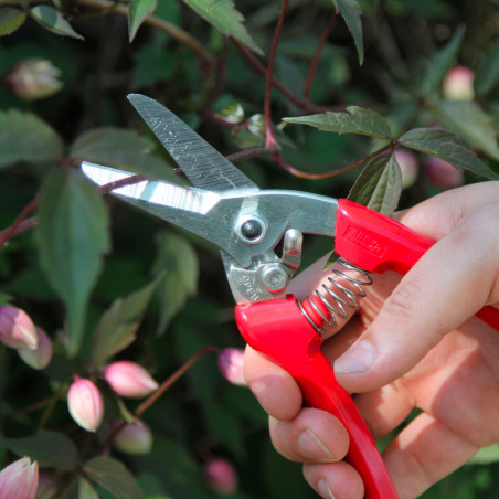 Sécateur ARS 18.4 cm