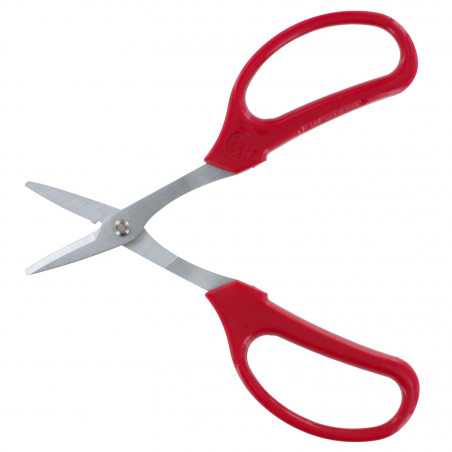 Ciseaux bricolage ARS 15.8 cm