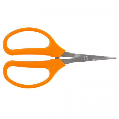 Sécateur à fruit ARS 15.5 cm