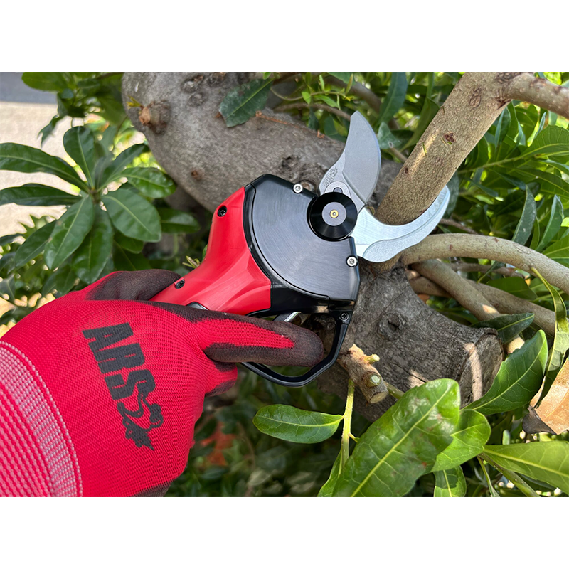 Sécateur électrique EP-721 - ARS