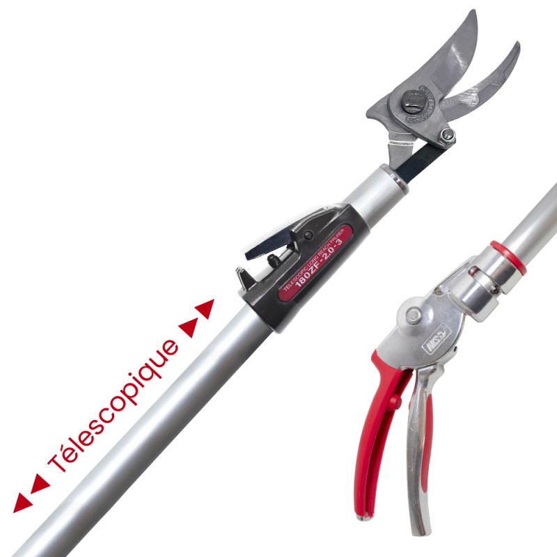 Sécateur long manche téléscopique