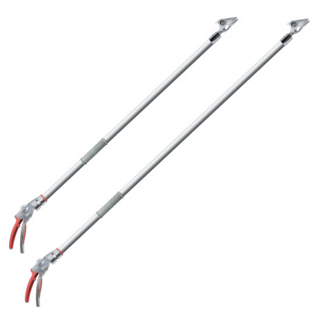 Sécateur long manche fruitier