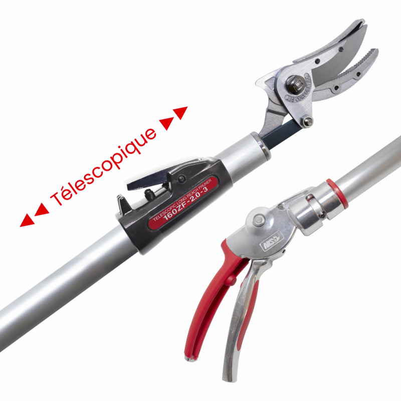 Sécateur long manche télescopique à mâchoires