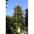 Perche télescopique