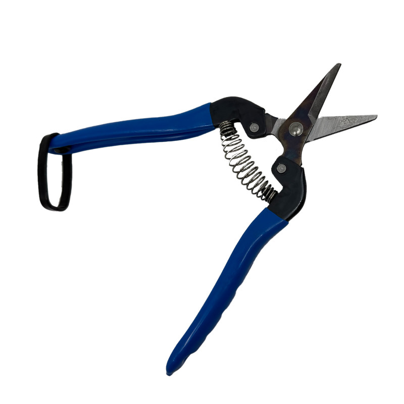 Sécateur à fruit 17 cm