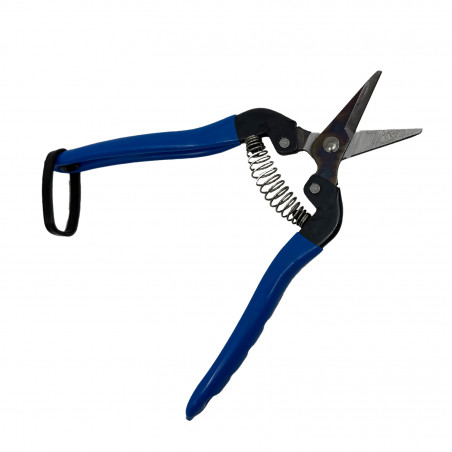 Sécateur à fruit 17 cm