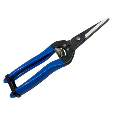 Sécateur à fruit ARS 19 cm