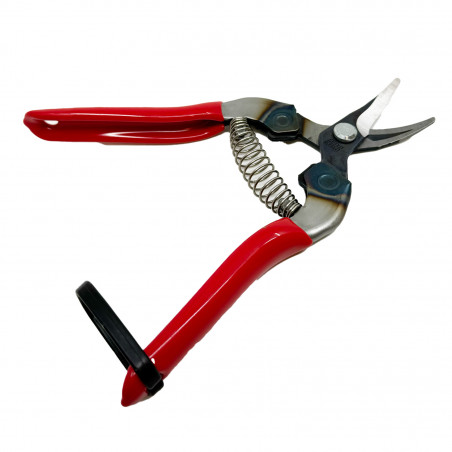 Sécateur à fruit incurvé 16 cm