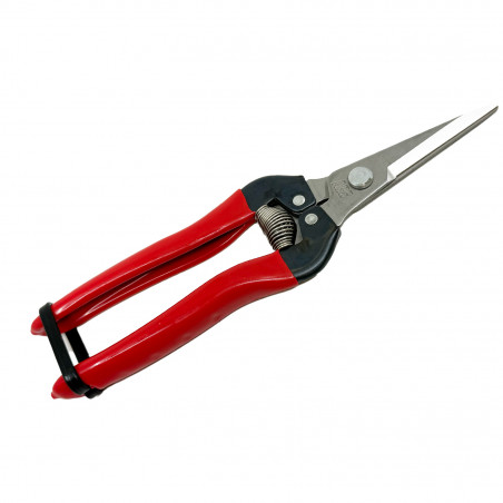 Sécateur à fruit ARS, 19 cm, rouge, inox