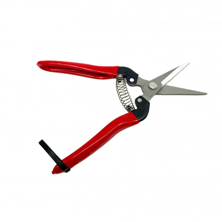 Sécateur à fruit 19 cm inox