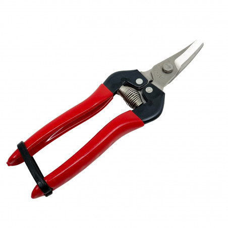 Sécateur à fruit ARS 17 cm