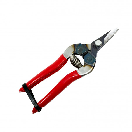 Sécateur à fruit ARS 16 cm