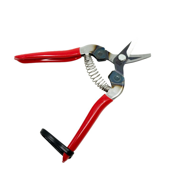 Sécateur à fruit incurvé 16 cm