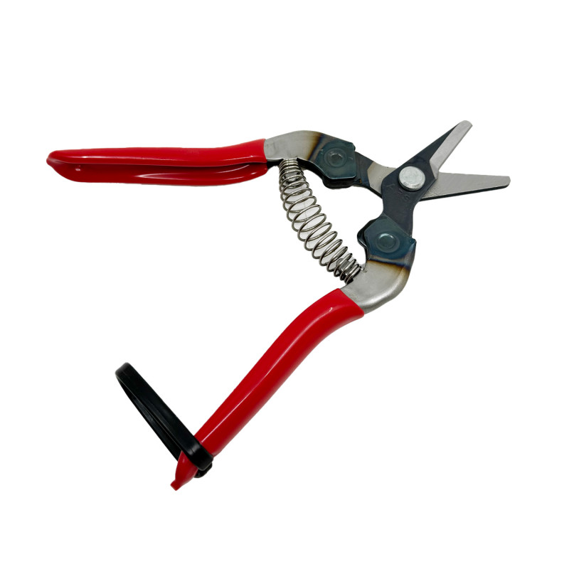 Sécateur à fruit 16 cm