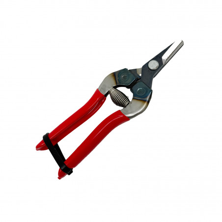 Sécateur à fruit ARS 16 cm