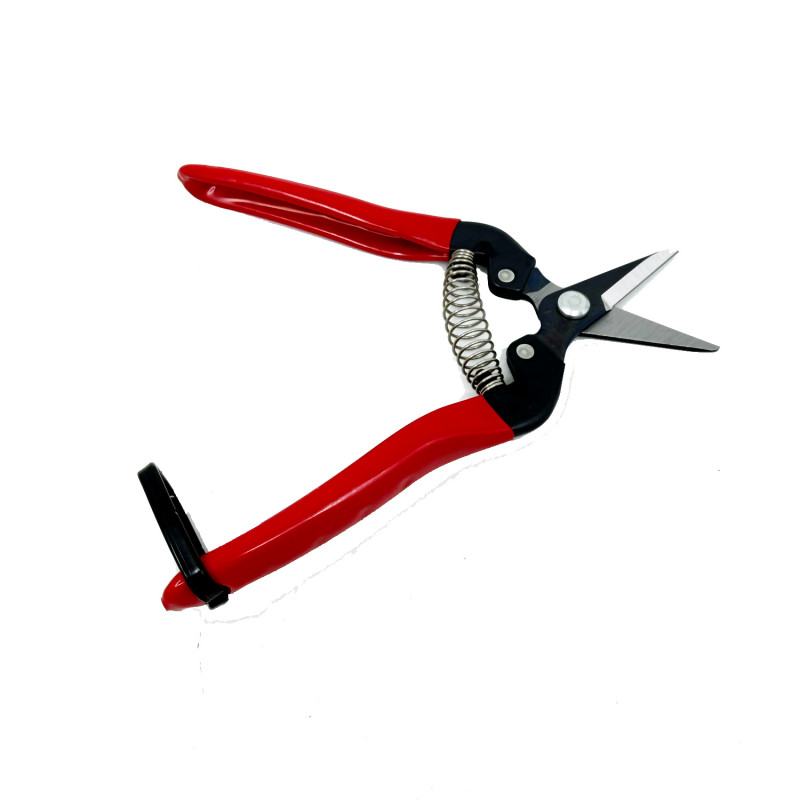 Sécateur à fruit 17 cm