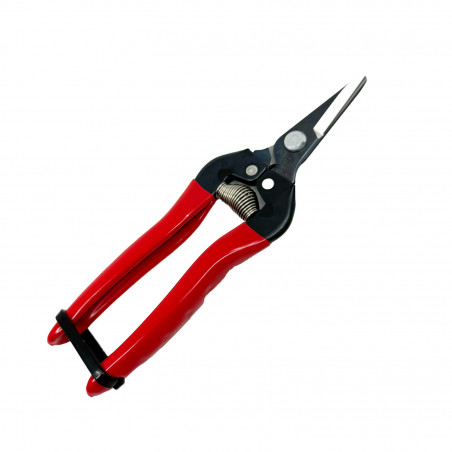 Sécateur à fruit ARS 17 cm