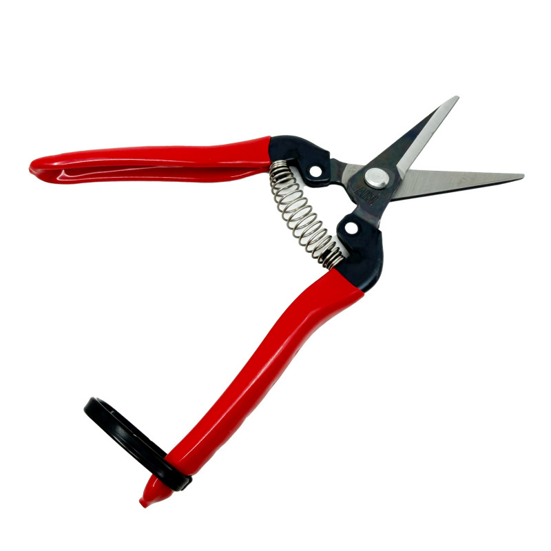 Sécateur à fruit 19 cm