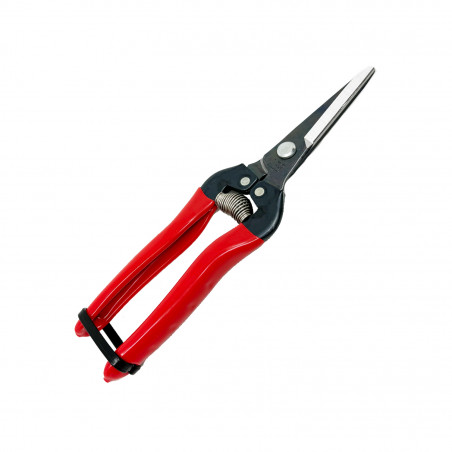 Sécateur à fruit ARS 19 cm