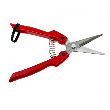 Sécateur à fruit ARS 18 cm