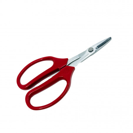 Ciseaux bricolage ARS 15.8 cm