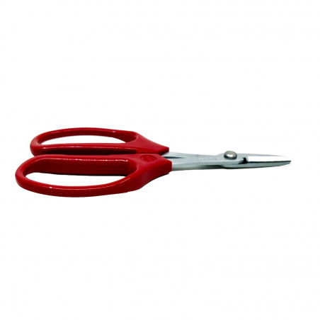 Ciseaux bricolage ARS 15.8 cm 2