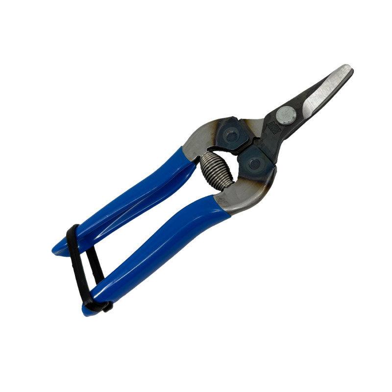 Sécateur à fruit incurvé 16 cm