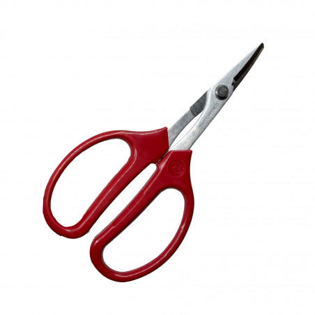 Ciseaux bricolage ARS 15.8 cm