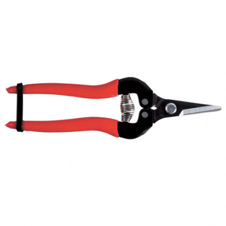 Sécateur à fruit ARS 17 cm 2