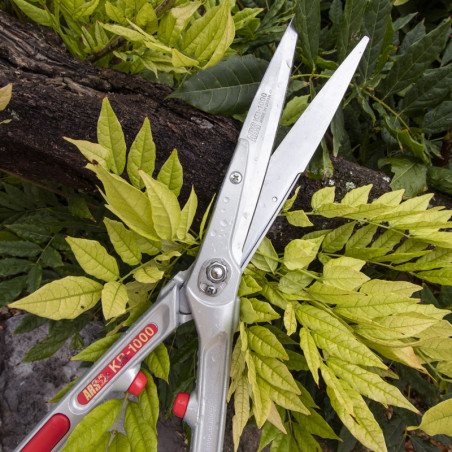 Cisaille à haies ARS