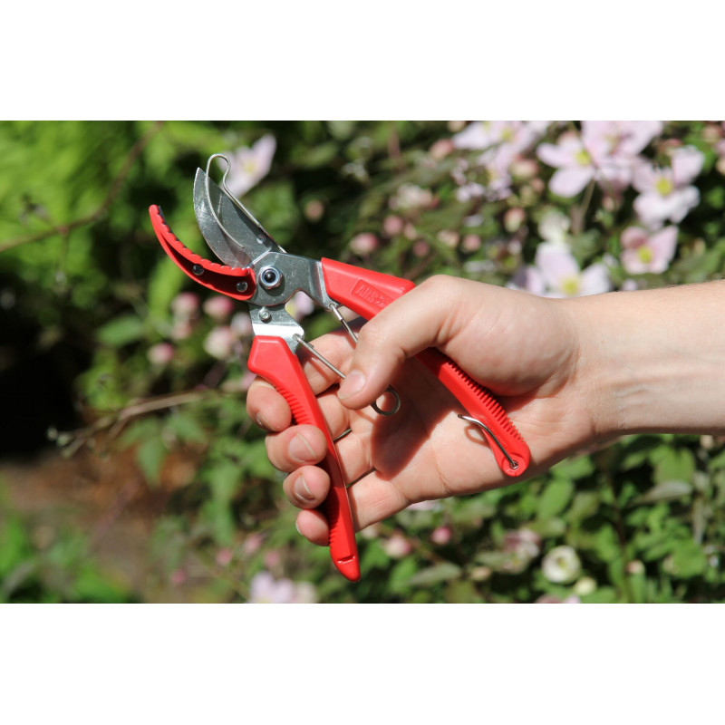 Sécateur floral ARS