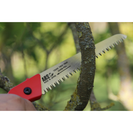 Scie d'élagage ARSCAM-LN (plusieurs tailles)