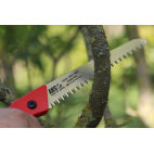 Scie d'élagage ARSCAM-LN (plusieurs tailles)