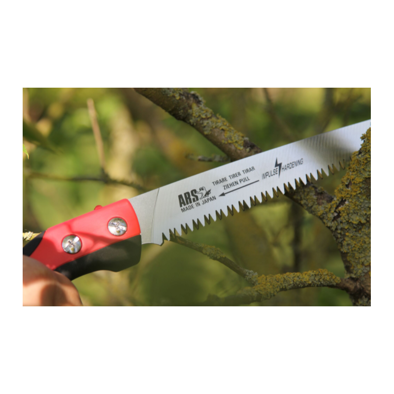 Scie d'élagage ARSCAM-PRO (plusieurs tailles)