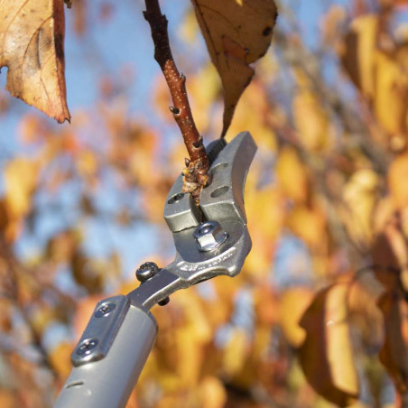 Sécateur à mâchoires et long manche ARS160ZF (plusieurs tailles)